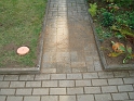 DSC08155
