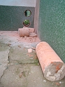 DSC08217