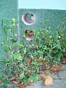 DSC08218
