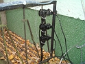 DSC08246