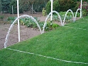 DSC09032