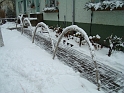 DSC09115