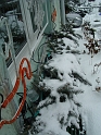 DSC09133