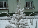 DSC09141