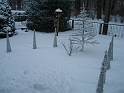 DSC09161