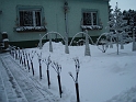 DSC09165